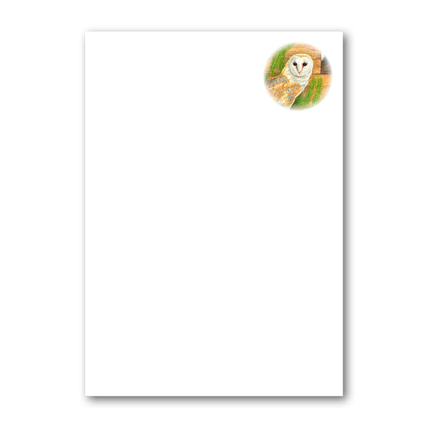 Pack of 6 A5 Barn Owl Notepaper from Dormouse Cards