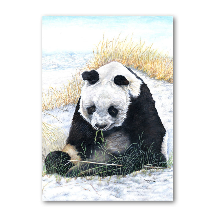 Panda Christmas Card from Dormouse Cards