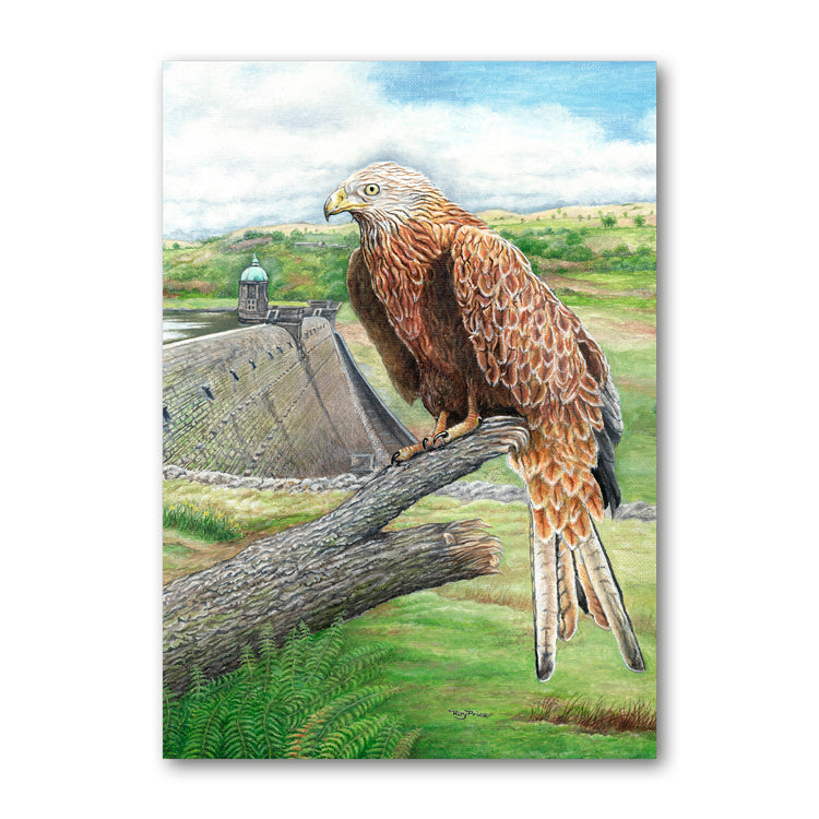 Red Kite Elan Valley Powys Wales Father's Day Card from Dormouse Cards
