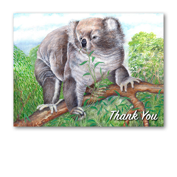 Koala Bear Thank You Card from Dormouse Cards