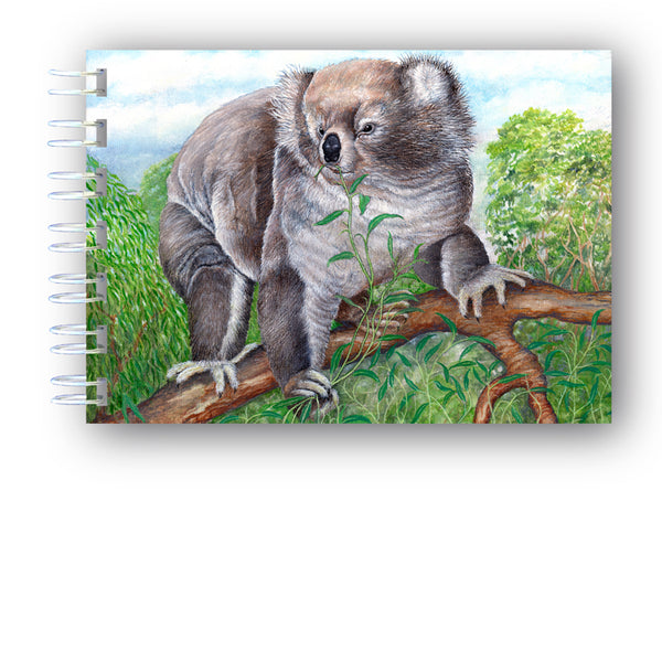A6 Wire Bound Koala Bear Notebook from Dormouse Cards