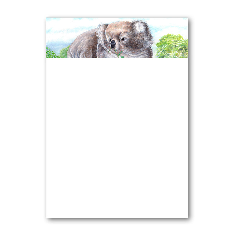 Pack of 6 Koala Bear Notepaper from Dormouse Cards