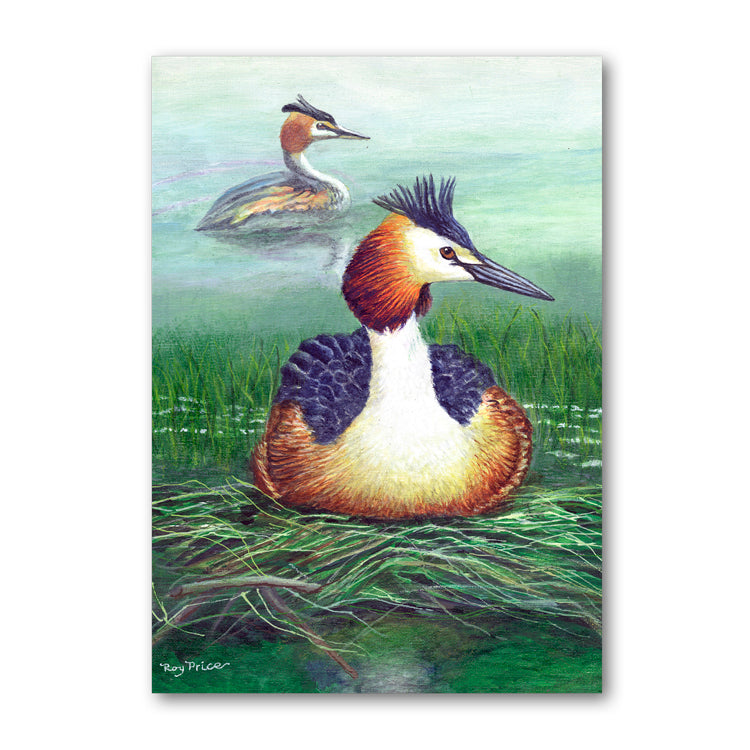 Pack of 10 Great Crested Grebe Gift Tags from Dormouse Cards