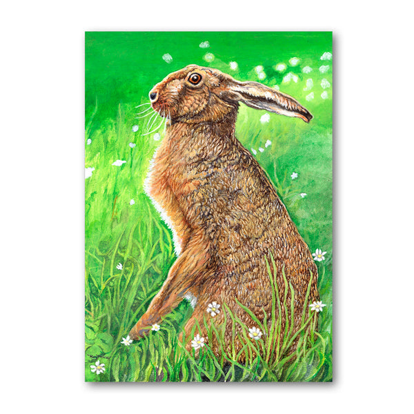 Pack of 5 Brown Hare Notelets from Dormouse Cards
