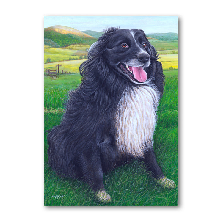 Mitch the Sheepdog on Offa's Dyke Path Powys Wales Mother's Day Card from Dormouse Cards