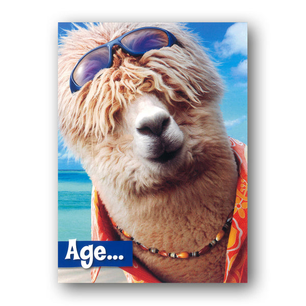 Funny Surfer Alpaca Birthday Card from Dormouse Cards