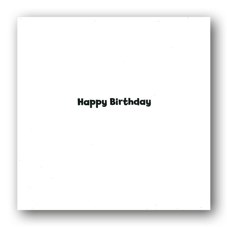 Funny Pug Dog with Pint Birthday Card by Avanti from Dormouse Cards