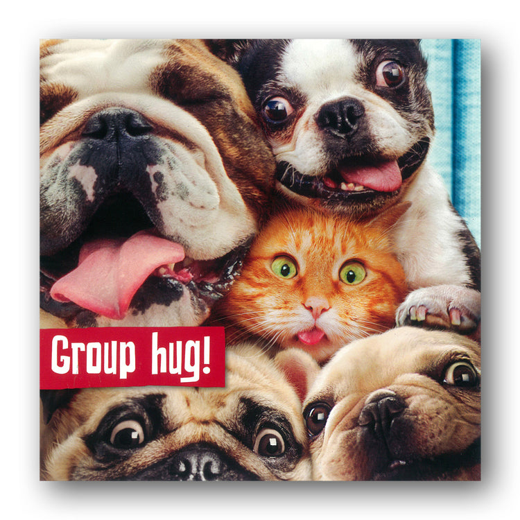 Funny Cat & Dogs Selfie Birthday Card by Avanti from Dormouse Cards