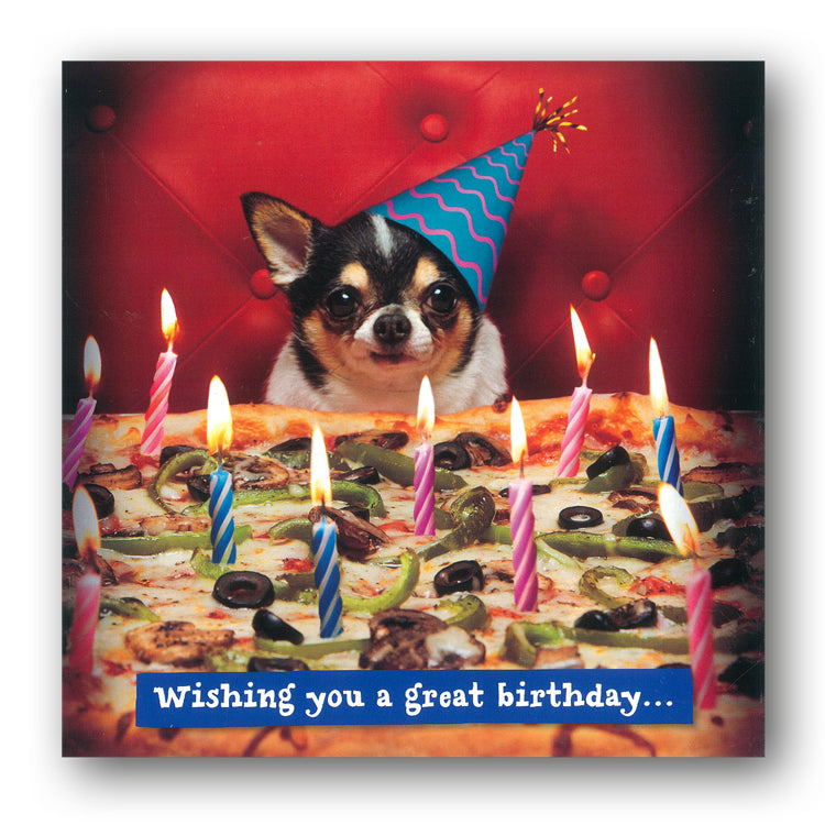 Funny Birthday Card - Dog with Pizza Birthday Cake by Avanti from Dormouse Cards