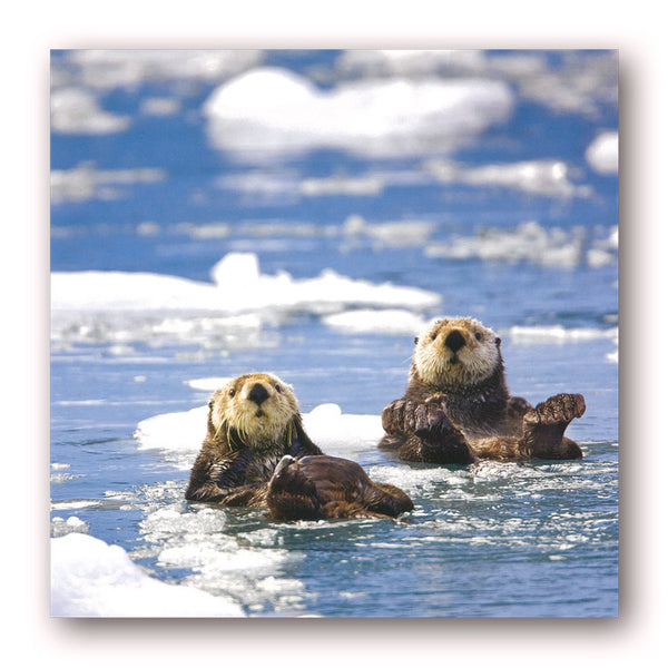 Sea Otters Greetings / Birthday Cards from Dormouse Cards