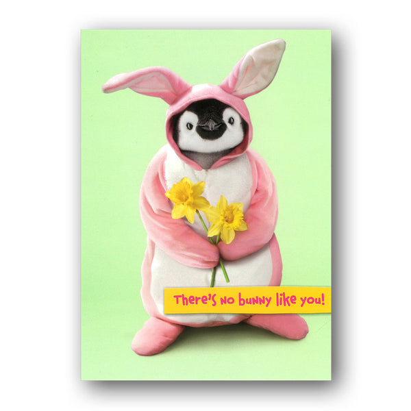 Funny Penguin Easter Card - No Bunny Like You! by Avanti from Dormouse Cards