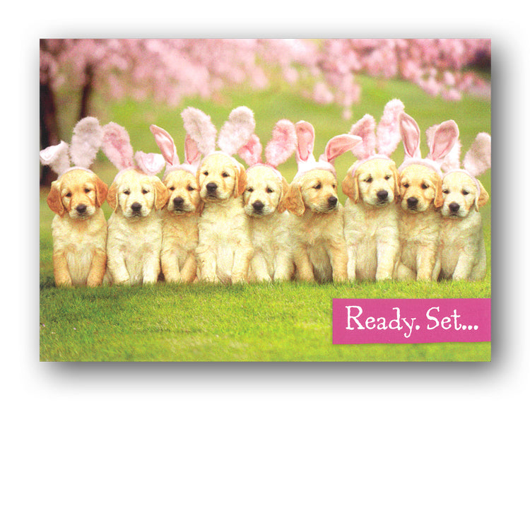 Funny Easter Card - Golden Retriever Puppies with Bunny Ears by Avanti from Dormouse Cards