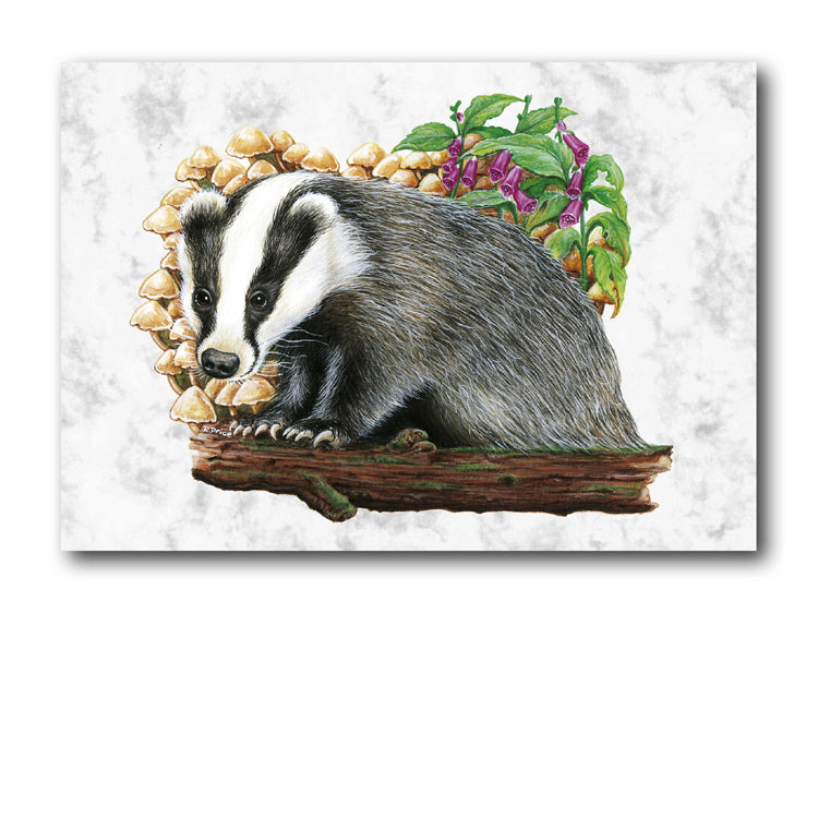 Marble Badger Greetings Card and Gift Tags from Dormouse Cards