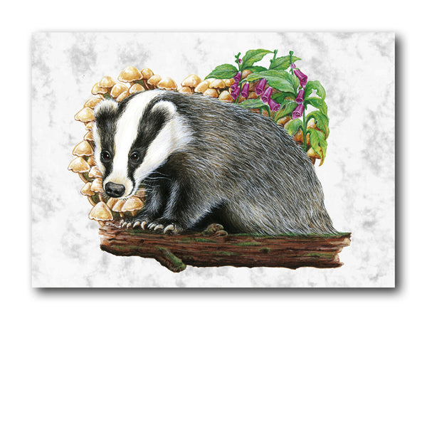 Badger Marble Postcards from Dormouse Cards