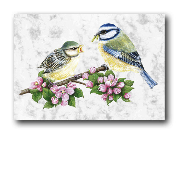 Fine Art Blue Tits Birthday Card on Luxury Marble board from Dormouse Cards