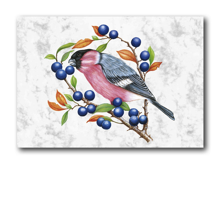 Marble Bullfinch Greetings Card and Gift Tags from Dormouse Cards