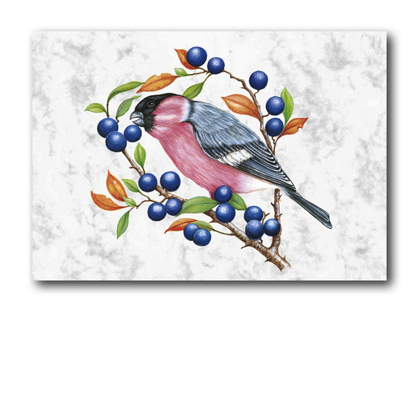 Fine Art Bullfinch Greetings Birthday Card on Luxury Marble board from Dormouse Cards