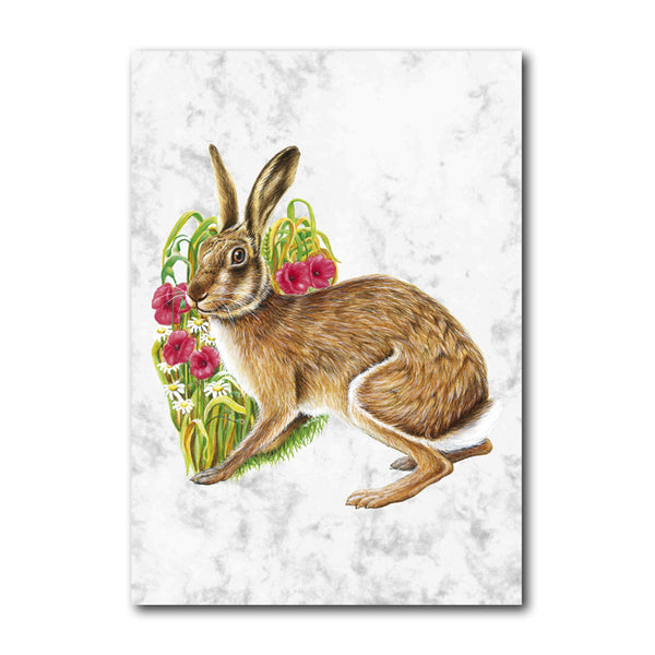 Hare Marble Notelets from Dormouse Cards