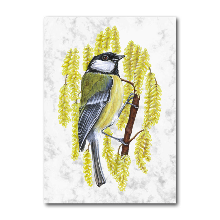 Marble Great Tit Greetings Card and Gift Tags from Dormouse Cards