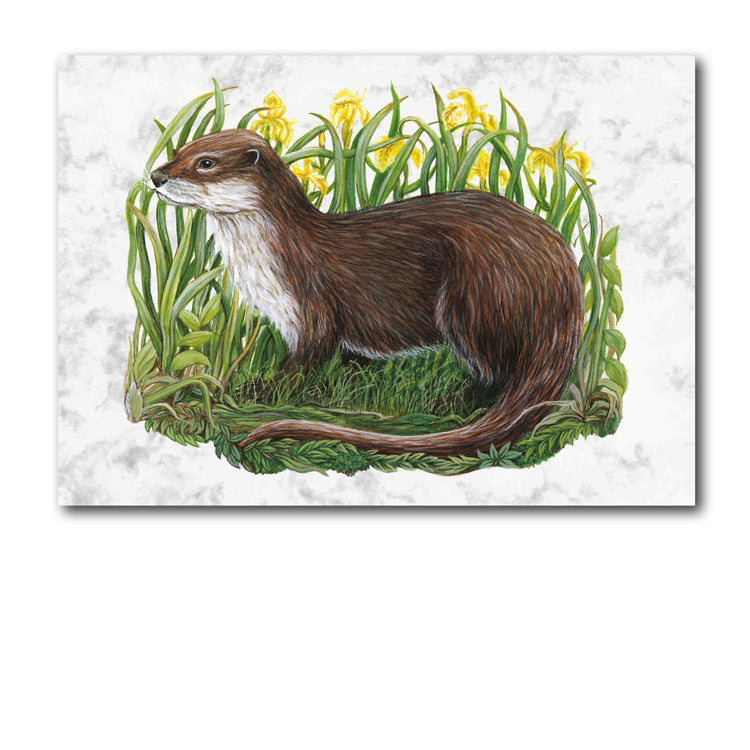 Fine Art Otter Greetings Card on Luxury Marble board on Dormouse Cards
