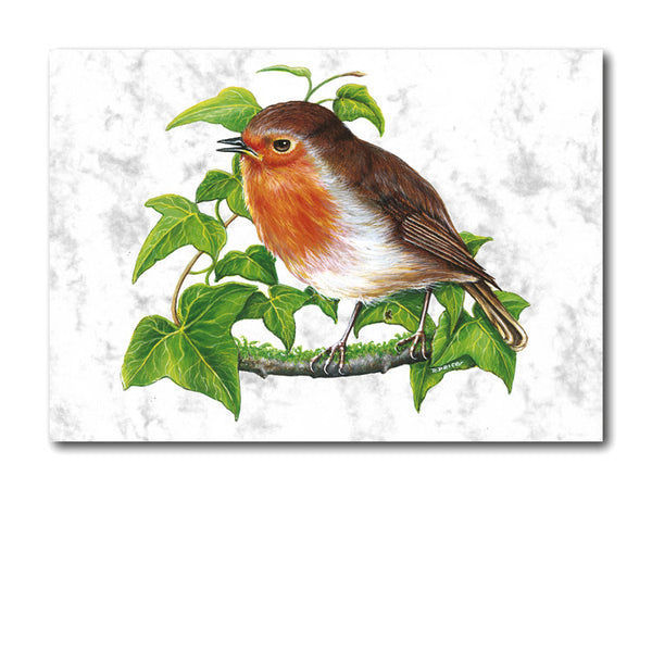 Fine Art Robin Greetings Card on Luxury Marble board from Dormouse Cards