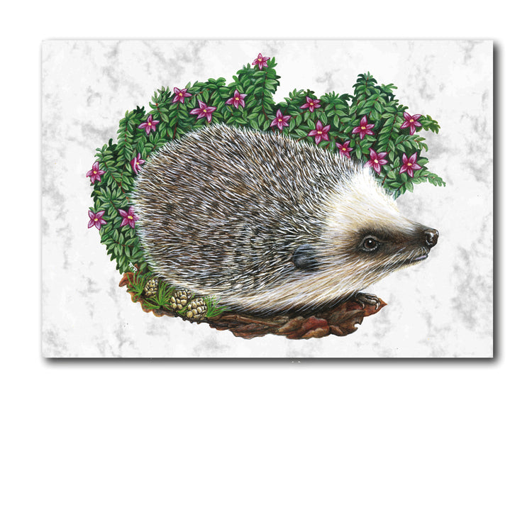 Marble Hedgehog Gift Tags and Greetings Cards from Dormouse Cards