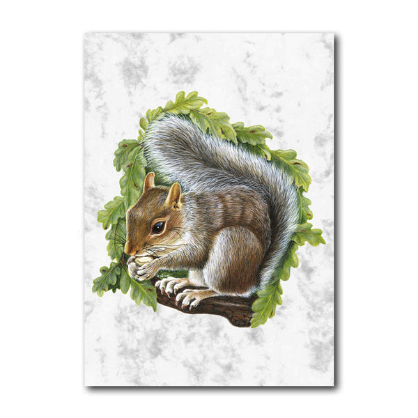 Fine Art Squirrel Greetings Card on Luxury Marble board from Dormouse Cards