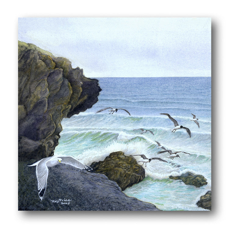 Fine Art Greetings Card - Seagulls over Cornwall from Dormouse Cards