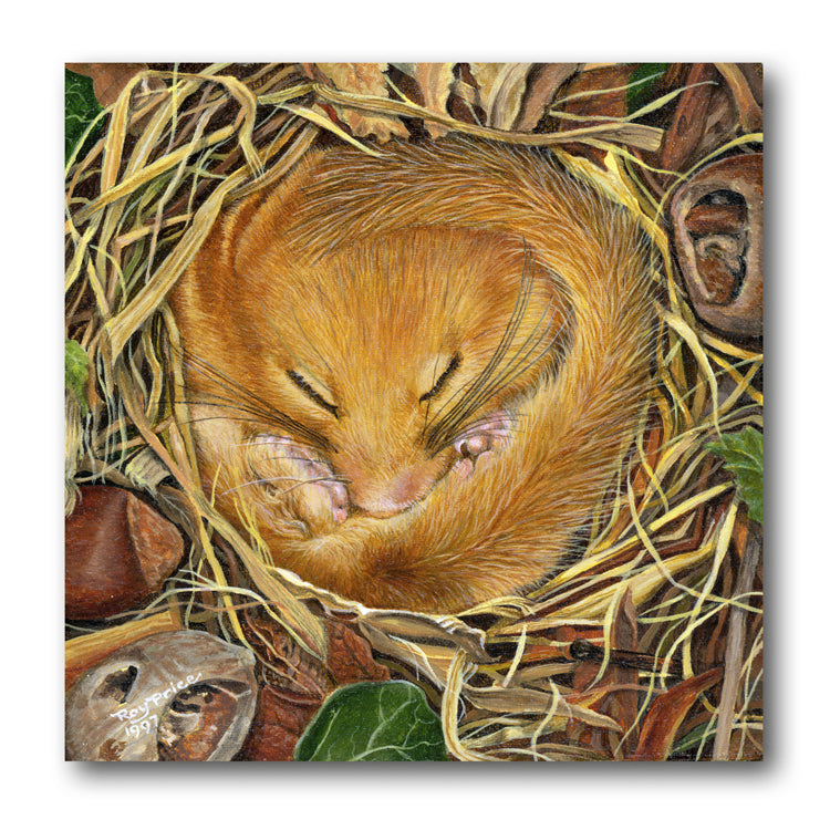 Dormouse Gift Tags from Dormouse Cards