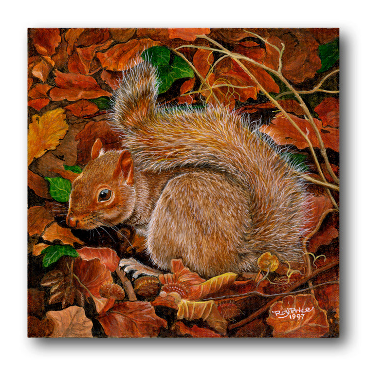 Fine Art Squirrel Notelets from Dormouse Cards