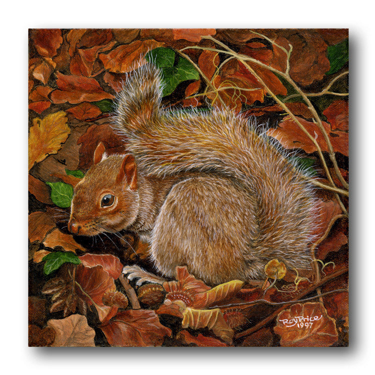 Fine Art Squirrel Greetings Card from Dormouse Cards