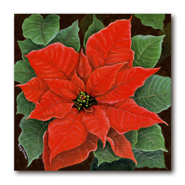 Fine Art Poinsettia Christmas Card from Dormouse Cards