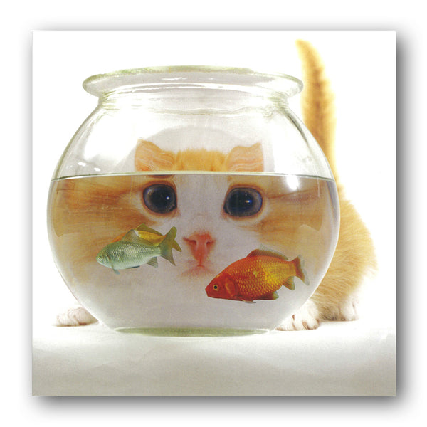 Funny Cat and Goldfish Birthday Greetings Card from Dormouse Cards