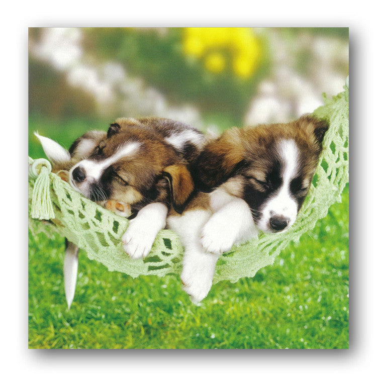 Sleeping Puppies in a Hammock from Dormouse Cards