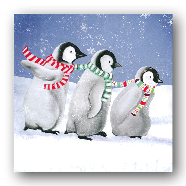 Playful Penguins Christmas Cards from Dormouse Cards