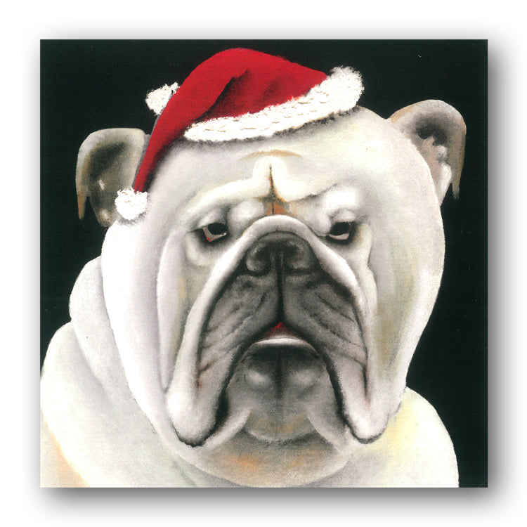 White Bulldog Funny Charity Christmas Cards from Dormouse Cards