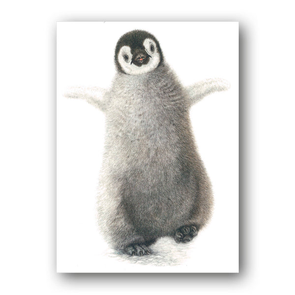 Pack of 8 Emperor Penguin Chick Charity Christmas Cards