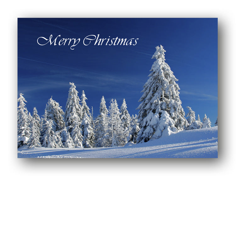 Pack of Winter Snowscene Christmas Gift Tags from Dormouse Cards