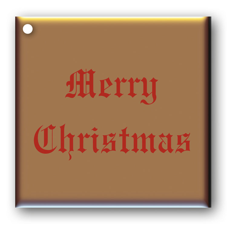 Pack of 10 Merry Christmas Gift Tags Red on Metallic Bronze
