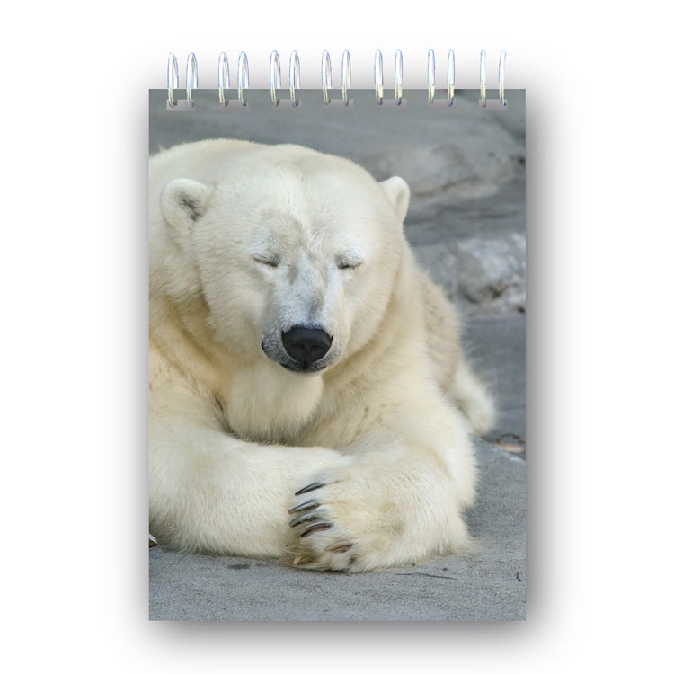 A6 Polar Bear Notebook from Dormouse Cards