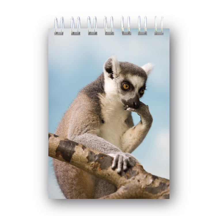 A6 Lemur Notebook from Dormouse Cards