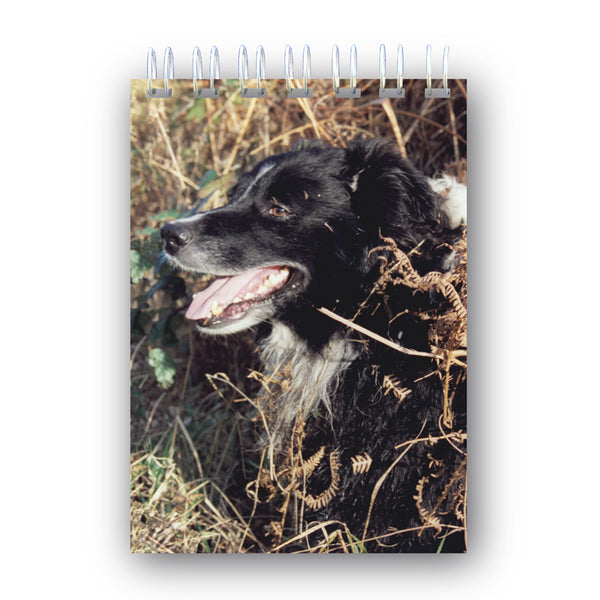 Border Collie Sheepdog Wire Bound Notebook from Dormouse Cards