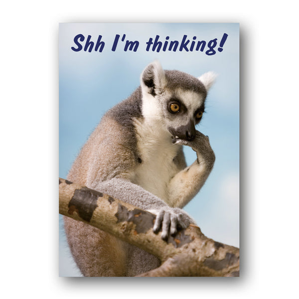 A3 Funny Lemur Laminated Poster from Dormouse Cards