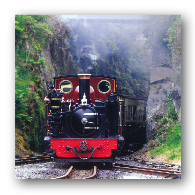 Steam Train Vale of Rheidol Railway Ceredigion Wales Birthday Greetings Card from Dormouse Cards