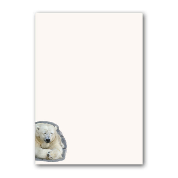 A5 Polar Bear Notepaper from Dormouse Cards