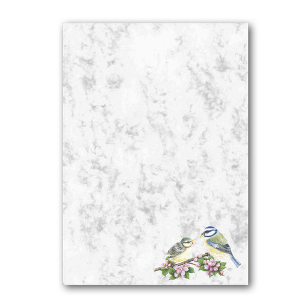 Blue Tit Marble Notepaper from Dormouse Cards
