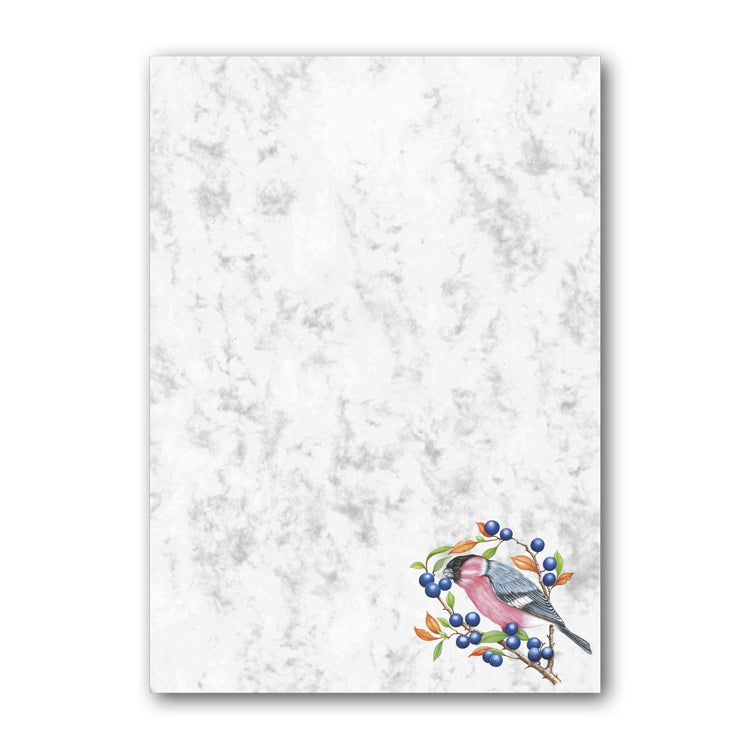 A5 Bullfinch Marble Notepaper from Dormouse Cards