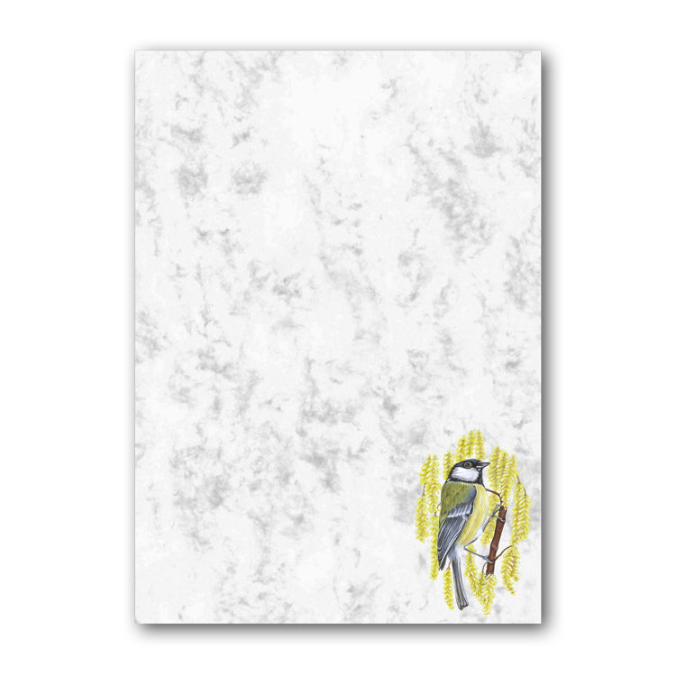 Great Tit Marble Notepaper