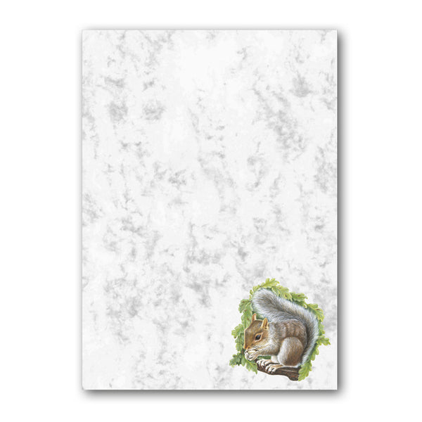 A5 Squirrel Marble Notepaper from Dormouse Cards