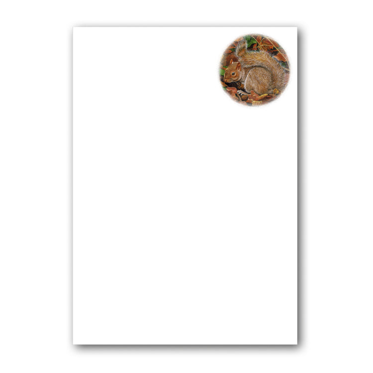 Squirrel Notepaper from Dormouse Cards